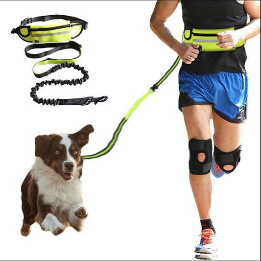 Fabulously Comfortable Hands Free Dog Leash - Paws & Play