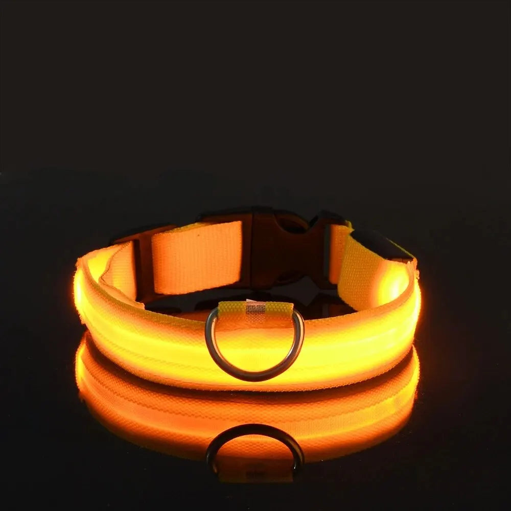 Incredibly Safe And Bright Dog Leash - Paws & Play