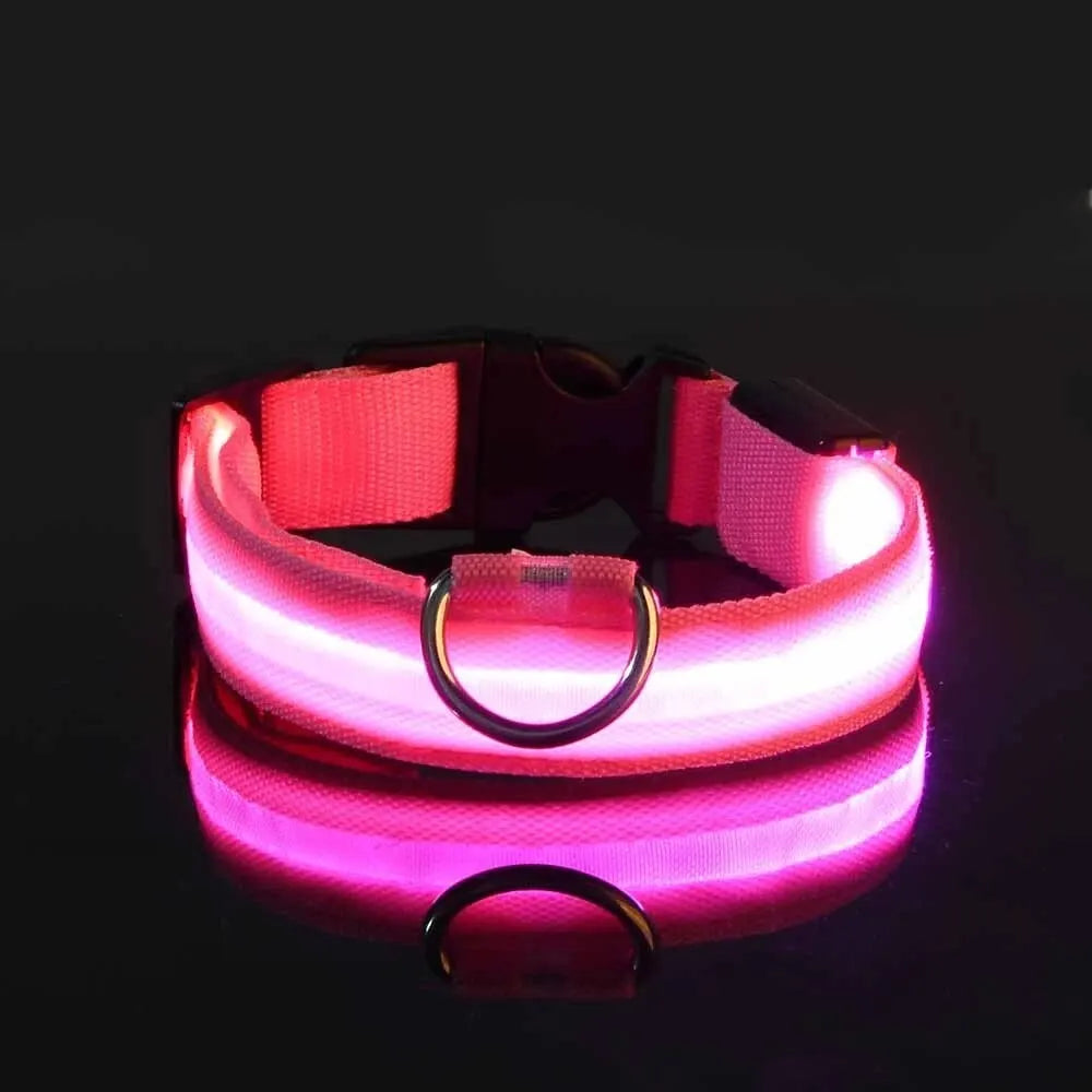 Incredibly Safe And Bright Dog Leash - Paws & Play