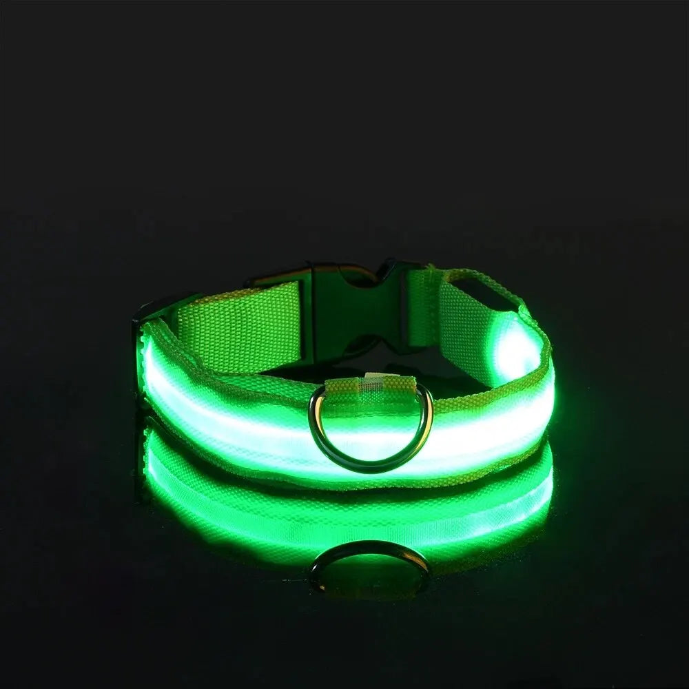 Incredibly Safe And Bright Dog Leash - Paws & Play