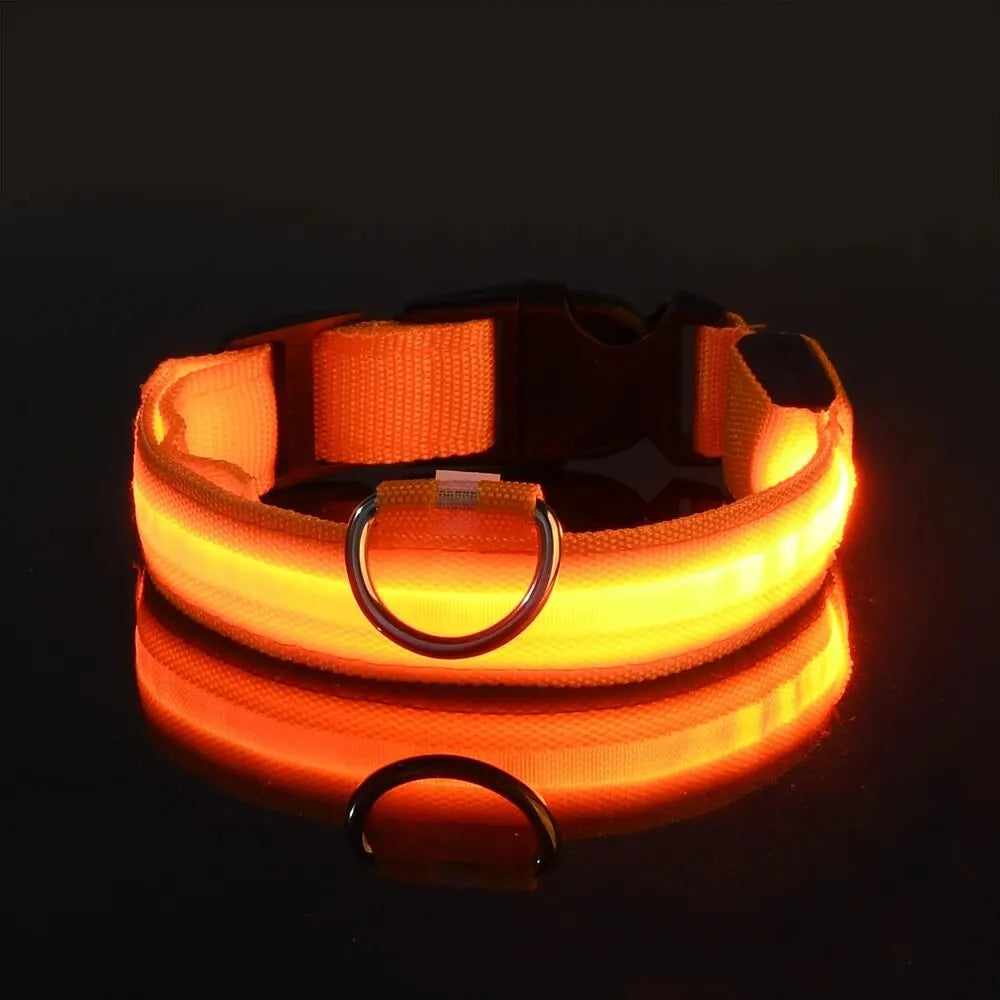 Incredibly Safe And Bright Dog Leash - Paws & Play