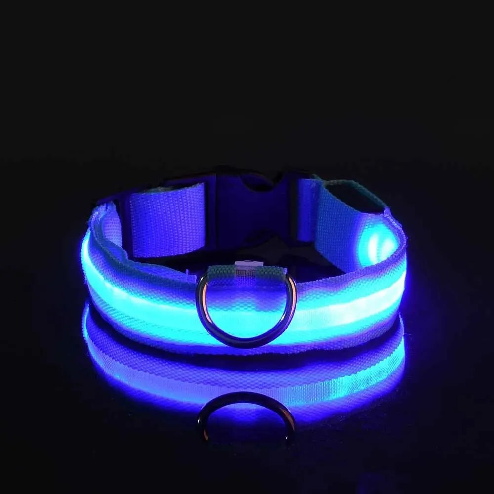 Incredibly Safe And Bright Dog Leash - Paws & Play