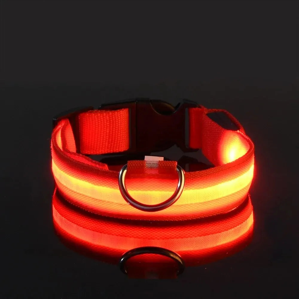 Incredibly Safe And Bright Dog Leash - Paws & Play