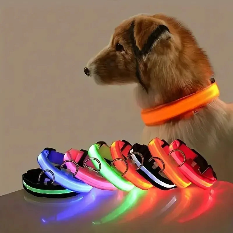 Incredibly Safe And Bright Dog Leash - Paws & Play